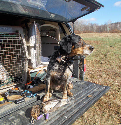 New Hampshire bird hunting